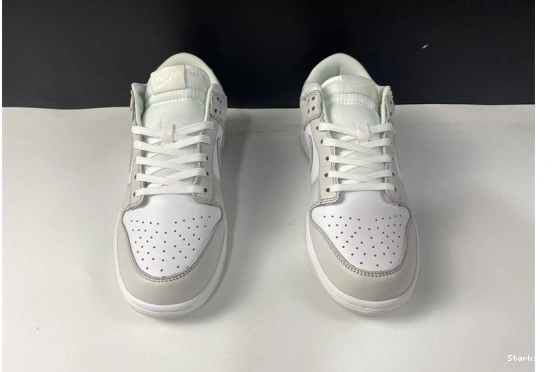 Dunk DD1503-103 "Photon Low Nike Dust" 1022